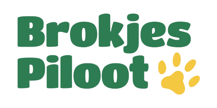Brokjespiloot